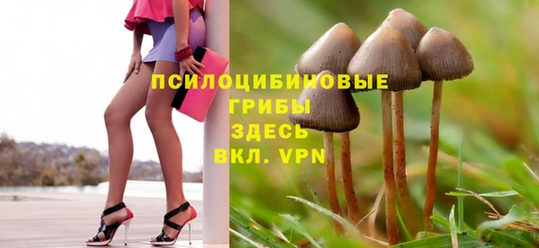 дживик Аркадак