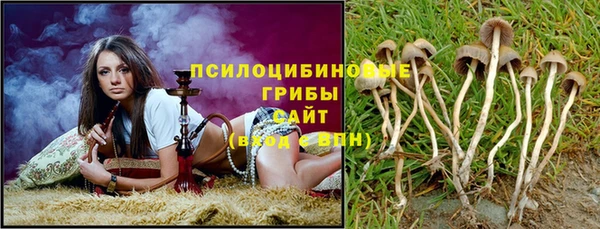 дживик Аркадак