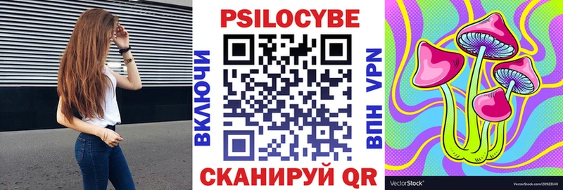 купить   Димитровград  Псилоцибиновые грибы Psilocybe 